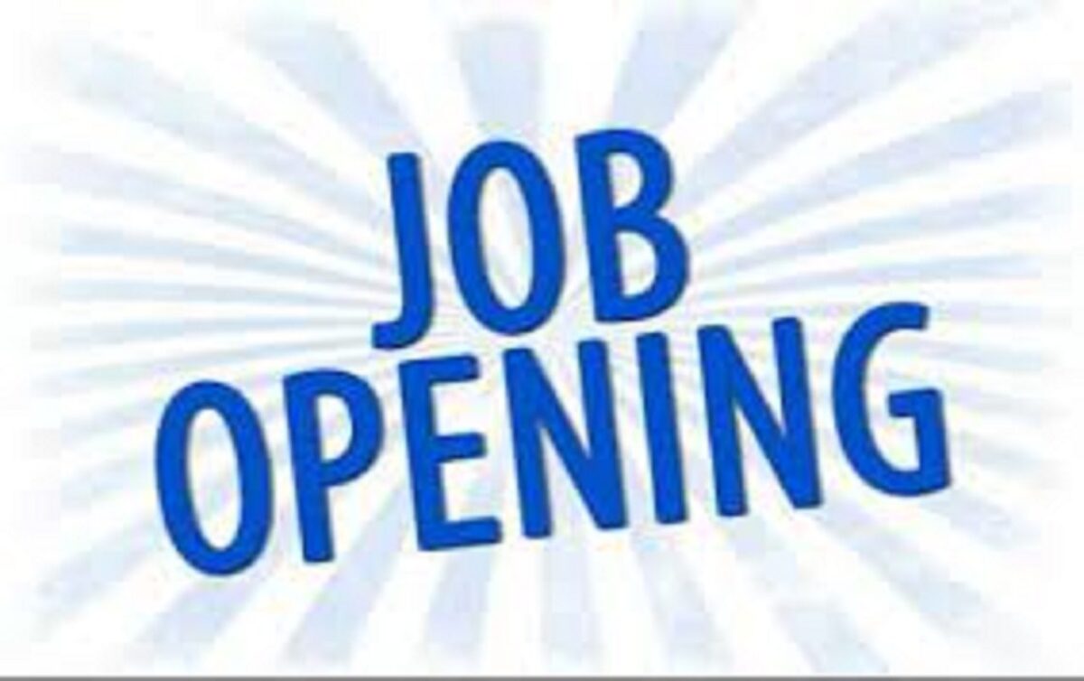 New Job Alert! Digital Marketer at Avario Digitals